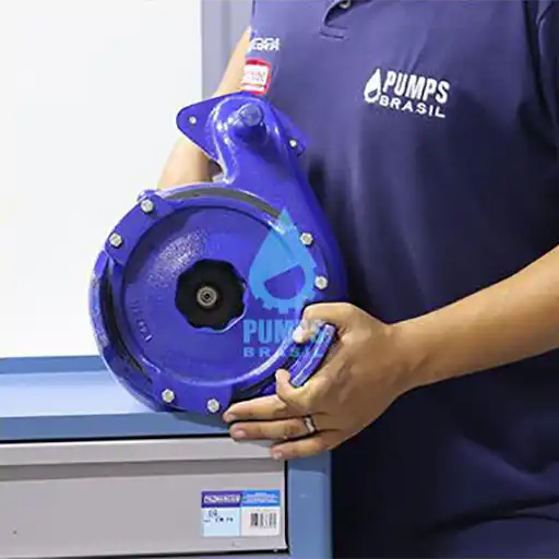 Manutenção de Bombas Submersíveis