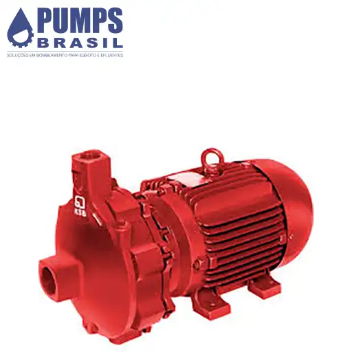 Fornecedor de Bombas Normalizadas