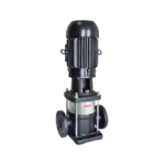 vme-15-20-inter-curto_Fundo-Branco